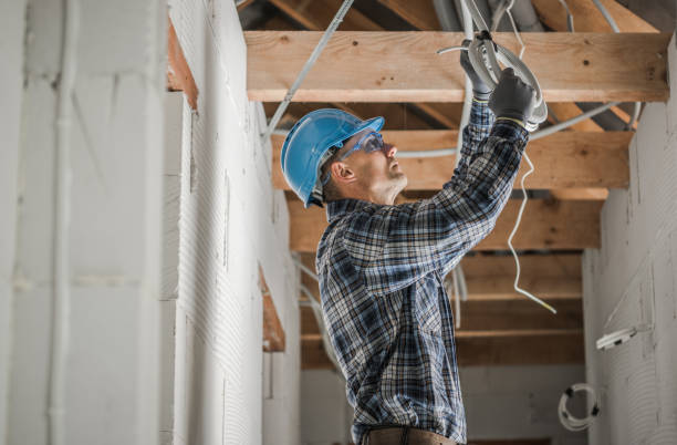 Best Licensed Electrician  in Lanark, IL