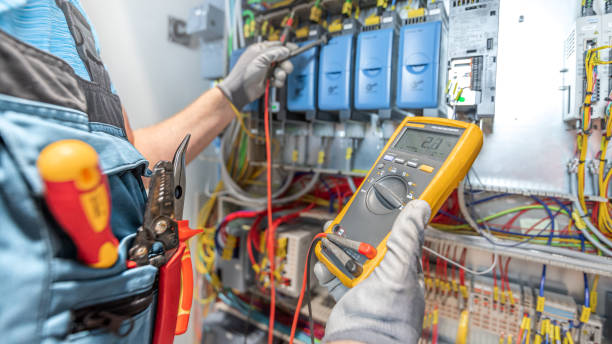 Best Electric Panel Repair  in Lanark, IL