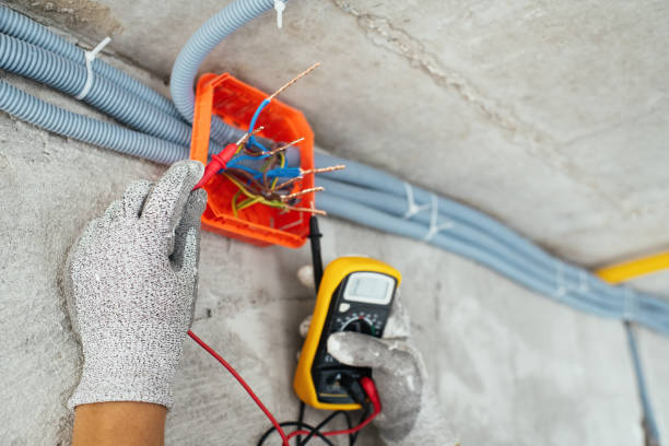 Best Ceiling Fan Installation Electrician  in Lanark, IL