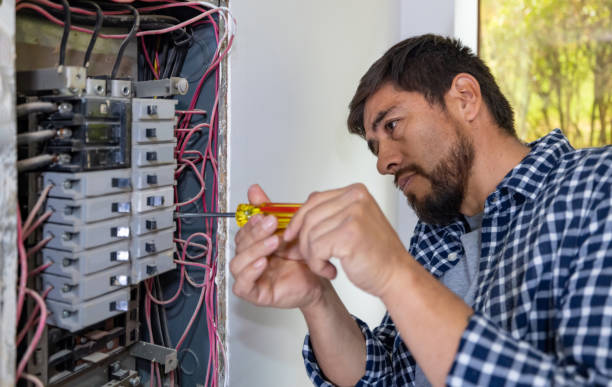 Best Industrial Electrical Services  in Lanark, IL
